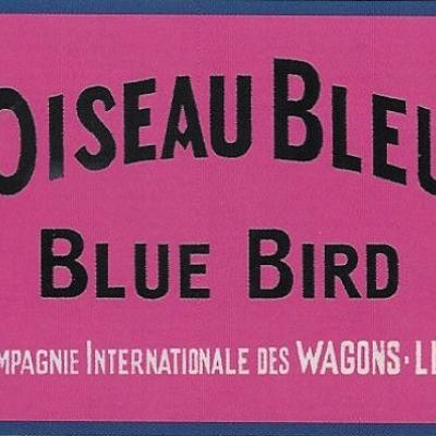 Etiquette bagage oiseau bleu
